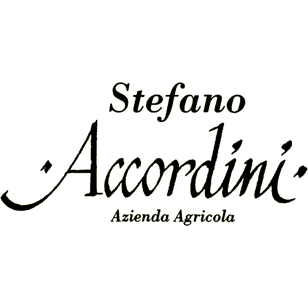  bacchus-Stefano-Accordini