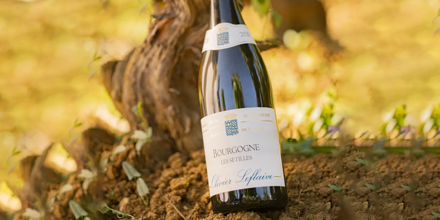 bacchus-Olivier-Leflaive-Bourgogne-Les-Setilles