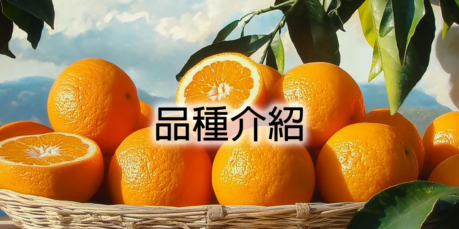 bacchus-orange-variety